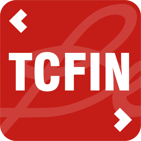Quỹ Đầu tư Cổ phiếu Ngân hàng và Tài chính Techcom (TCFIN)
