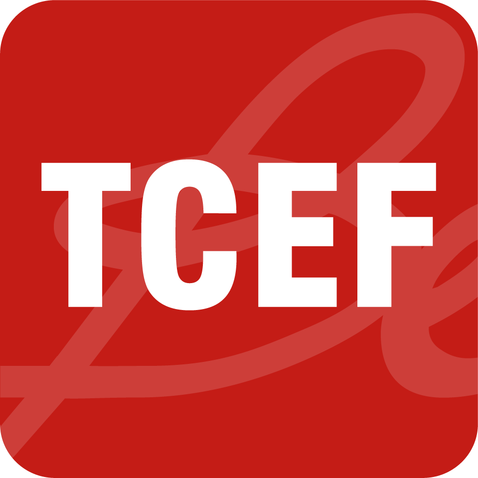 quỹ đầu tư cổ phiếu techcom tcef